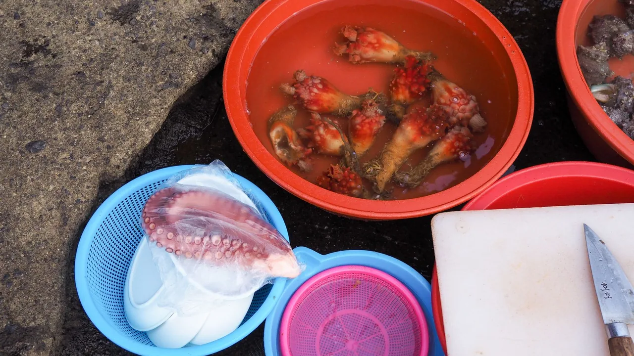 낙지 손질법 순서는 어떻게 되나