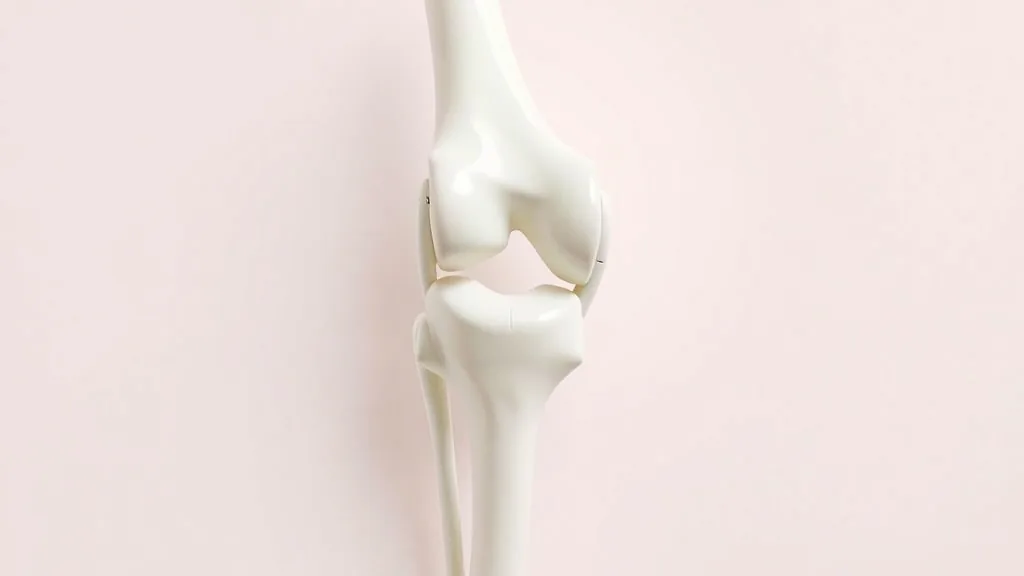콘드로이친을 먹을 때 주의할 점은 무엇인가요?